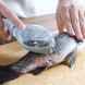 Plastic Fish Scales Graters Scraper